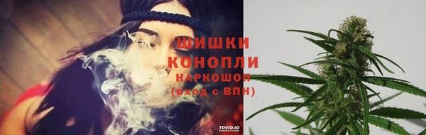 ПСИЛОЦИБИНОВЫЕ ГРИБЫ Зерноград