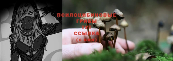 ALPHA PVP Зеленокумск