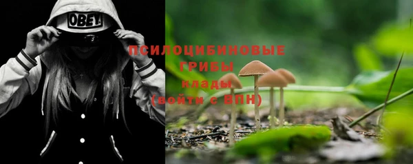 ПСИЛОЦИБИНОВЫЕ ГРИБЫ Зерноград