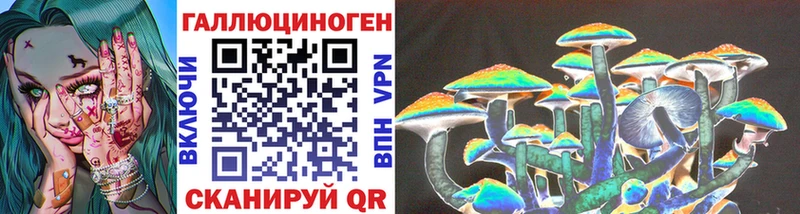 Купить закладки  Егорьевск  Галлюциногенные грибы Psilocybine cubensis 